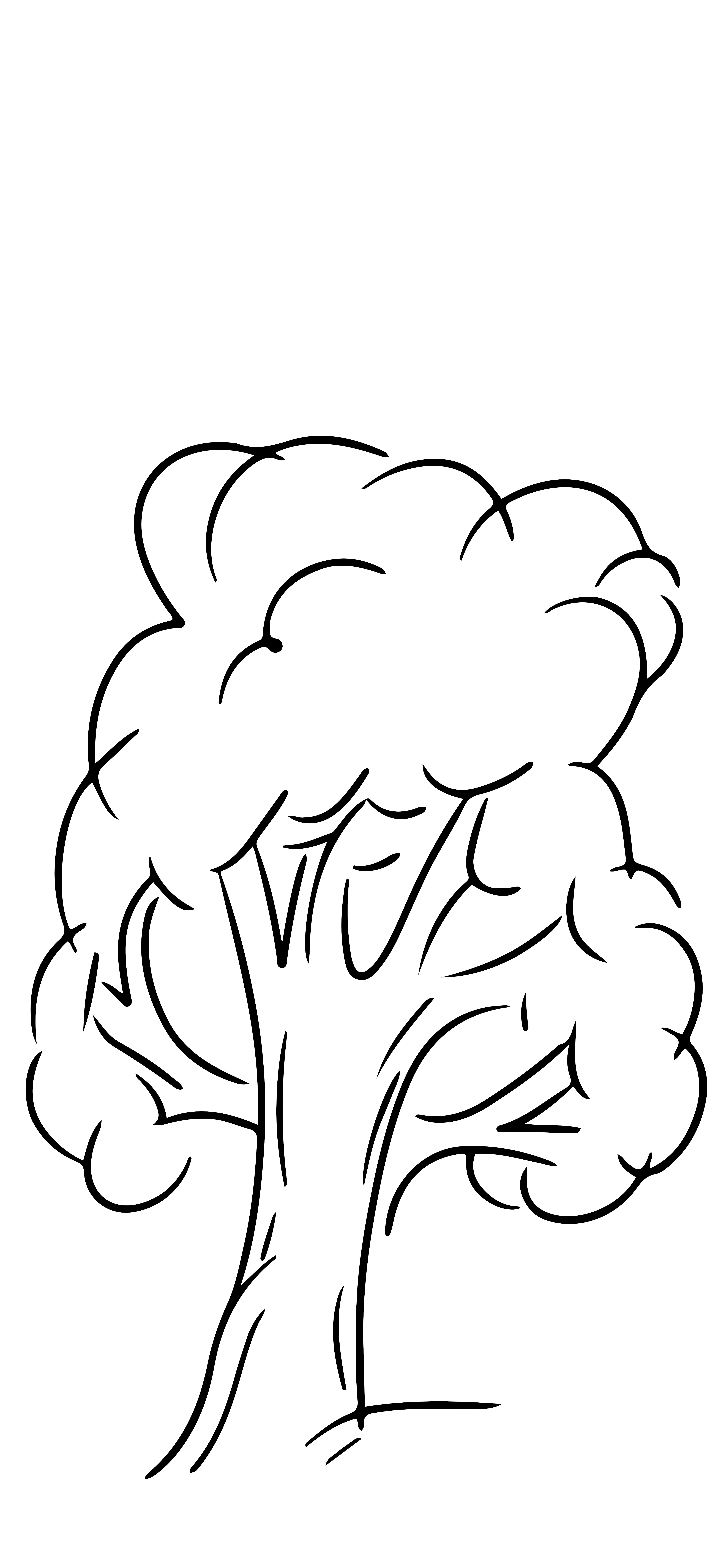 Line drawing of a tree with a thick trunk and bushy foliage.
